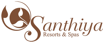 Check-in Online Logo